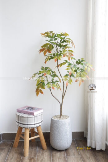 Cây Sơn Mài Giả 1,2m