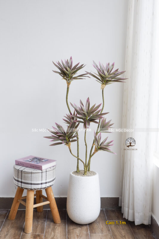Cây Phát Tài Thái Viền Hồng Giả Cao 1,1m