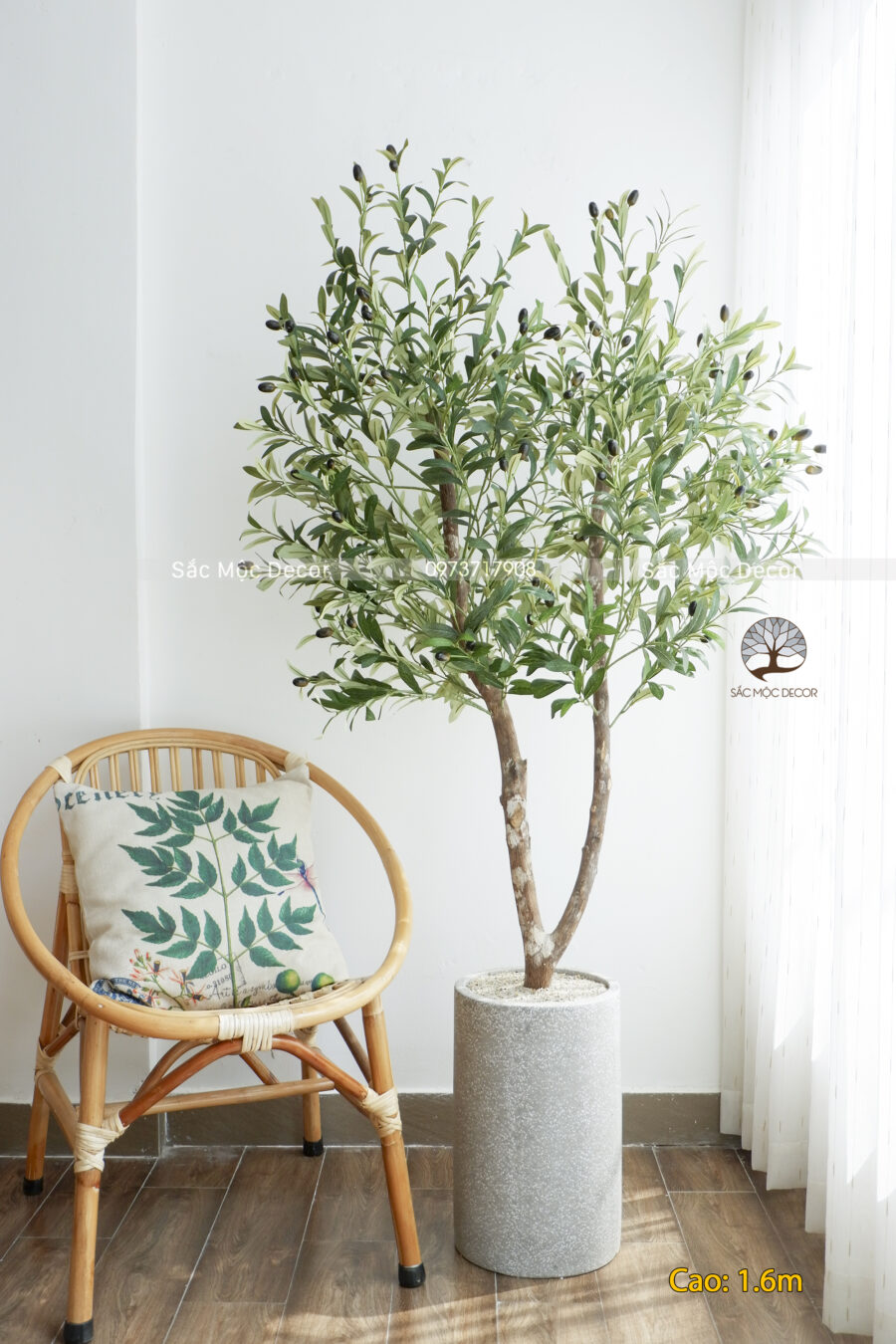 Cây Ôliu Giả 2 Nhánh Cao 1.6m