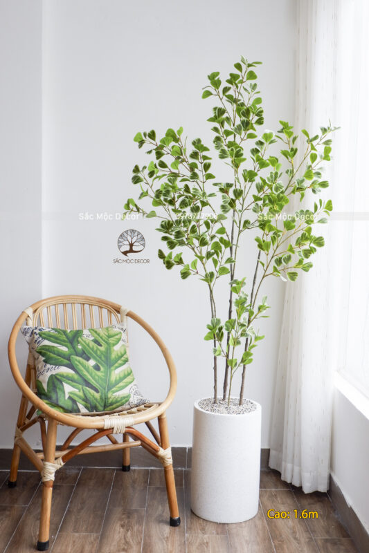 Cây Bàng Cẩm Thạch Giả Cao 1,6m