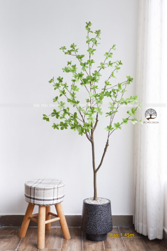 Cây Thạch Nam Giả 1.45m