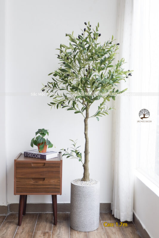 Cây Ôliu Giả Cao 1.7m