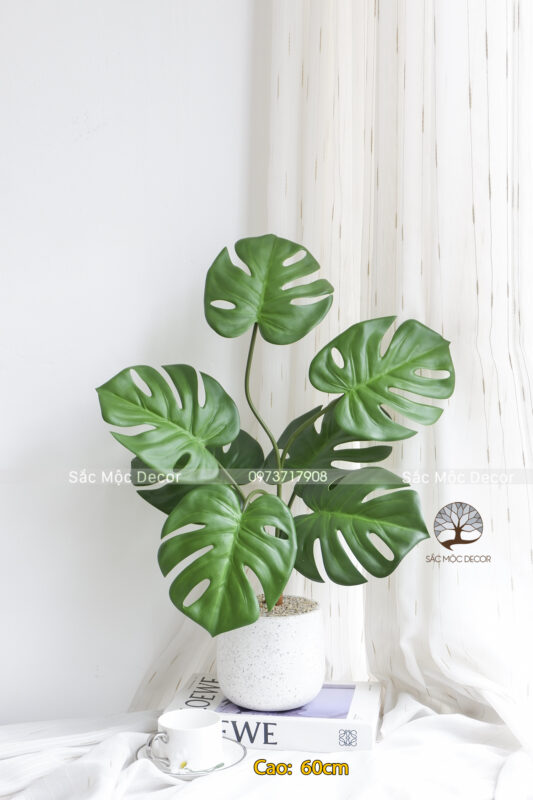 Cây Trầu Bà Lá Xẻ Giả Cao 60cm