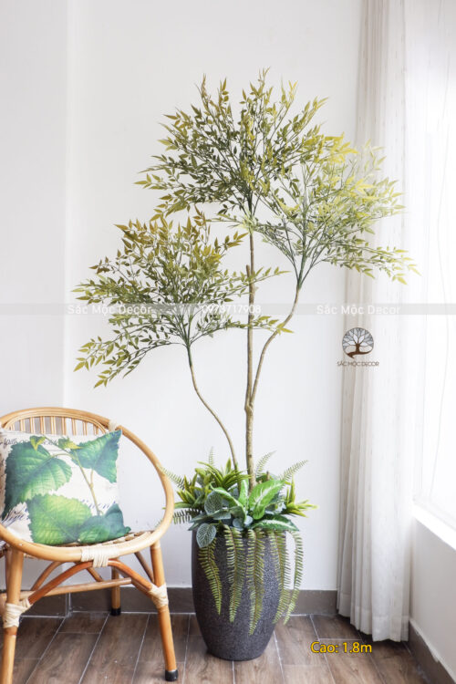 Cây Nam Thiên Trúc Giả Phối Vườn Cao 1,8m