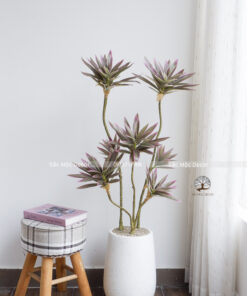 Cây Phát Tài Thái Viền Hồng Giả Cao 1,1m