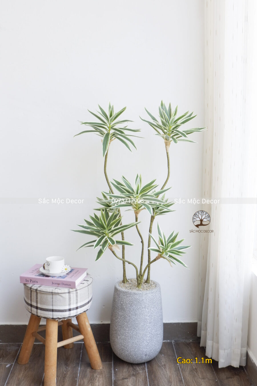 Cây Phát Tài Thái Viền Trắng Giả Cao 1,1m