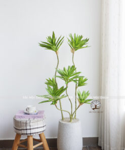 Cây Phát Tài Thái Viền Xanh Giả Cao 1,1m