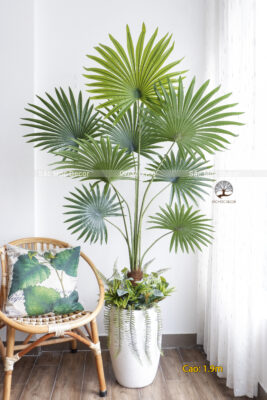 Cây Cọ Giả Cao 1,9m