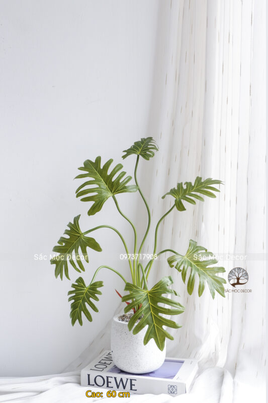 Cây Trầu Bà Thanh Xuân Giả Cao 60cm