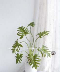 Cây Trầu Bà Thanh Xuân Giả Cao 60cm