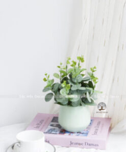 Chậu Lá Dolar Giả Để Bàn Cao 19cm