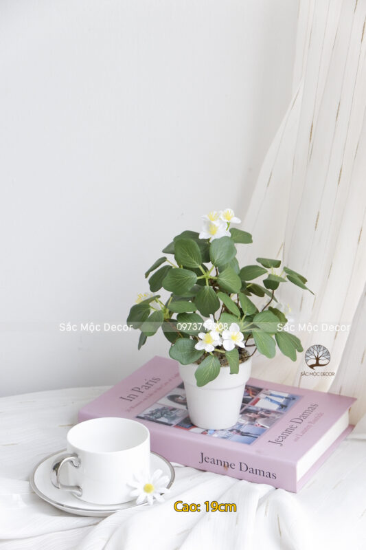 Chậu Hoa Trắng Giả Để Bàn Cao 19cm