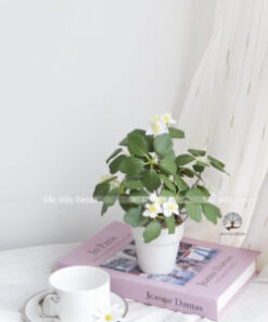 Chậu Hoa Trắng Giả Để Bàn Cao 19cm