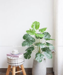 Cây Trầu Bà Lá Xẻ Giả Cao 95cm