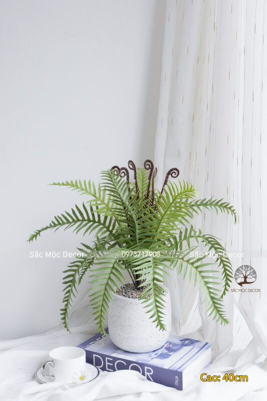 Cây Dương Xỉ Cổ Giả Cao 43cm