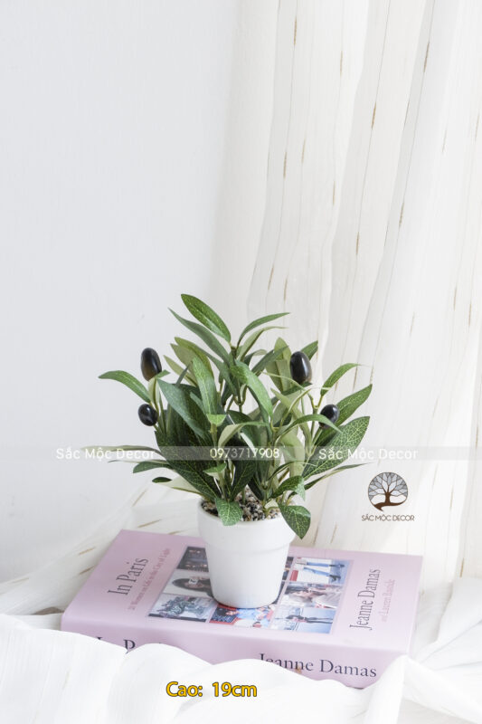 Chậu Lá Oliu Giả Cao 19 cm