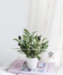 Chậu Lá Oliu Giả Cao 19 cm
