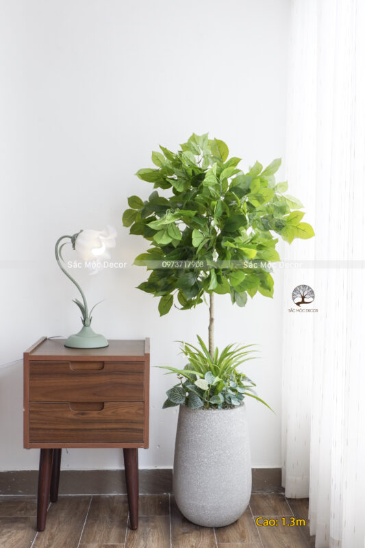Cây Hạnh Phúc Giả Cao 1.3m