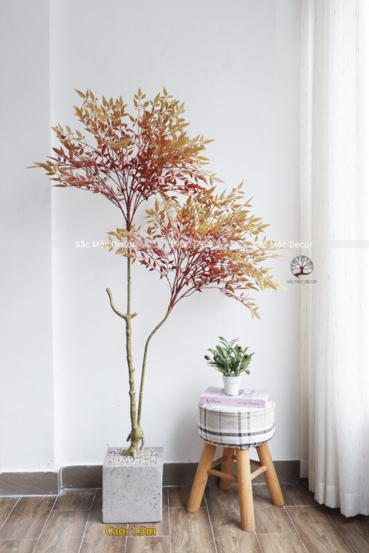 Cây Nam Thiên Trúc  Giả Cao 1,5m