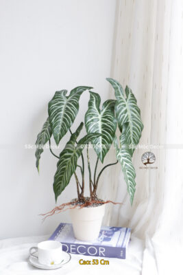 Cây Môn Lá Sọc Giả Cao 53cm