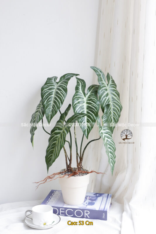 Cây Môn Lá Sọc Giả Cao 53cm