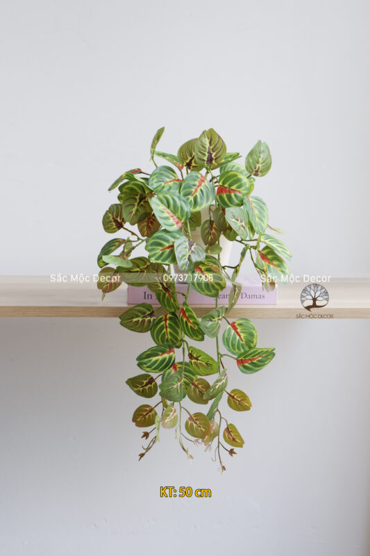 Chậu Dây Leo Đuôi Công Giả Dài 50cm