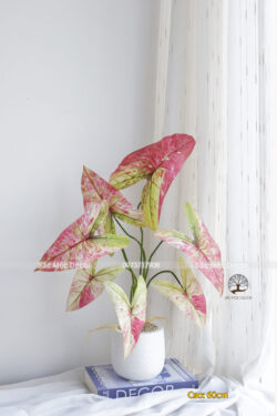 Cây Môn Hồng Giả Cao 60cm