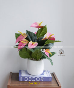 Cây Hồng Môn Giả Cao 40cm