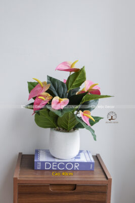 Cây Hồng Môn Giả Cao 40cm