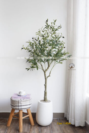 Cây Ôliu Giả Cao 1.4m