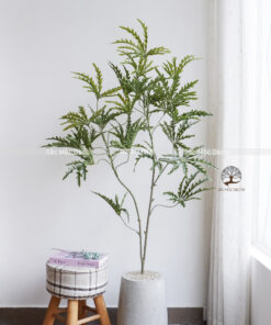Cây Khổng Tước Giả 1,4m