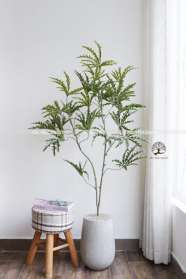 Cây Khổng Tước Giả 1,4m