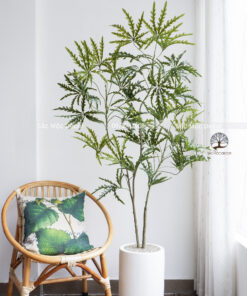 Cây Khổng Tước Giả 1,65m