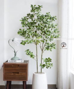 Cây Dành Dành Giả Cao 1,55m