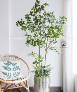 Cây Dành Dành Giả Cao 1,65m