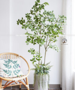 Cây Dành Dành Giả Cao 1,65m