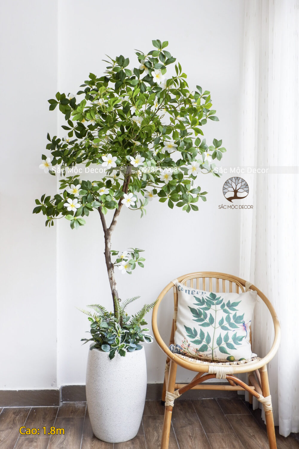 Cây Dành Dành Giả Cao 1,8m