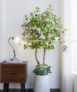 Cây Hoa Sim Giả Cao 1,5m Phối Vườn