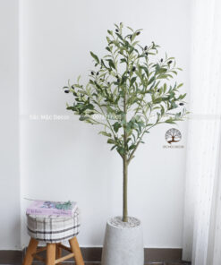 Cây Ôliu Giả  Cao 1.35m