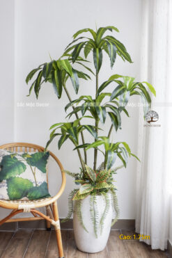 Cây Phát Tài Hoàng Kim Phối Vườn Giả Cao 1,75m